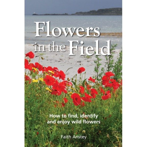 Flowers in the Field