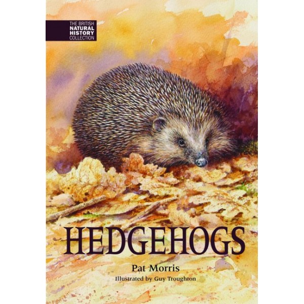 Hedgehogs