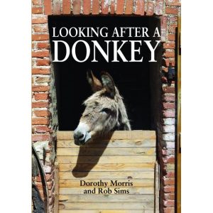 Looking After A Donkey